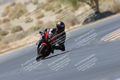 media/May-14-2023-SoCal Trackdays (Sun) [[024eb53b40]]/Turn 5 Tree of Life (1125am)/